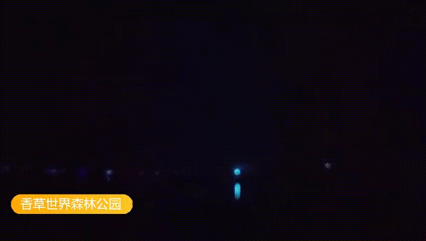 858_486gif 动态图 动图